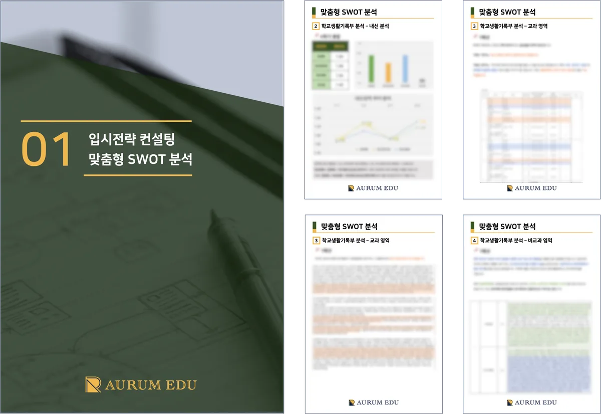 입시전략 컨설팅 맞춤형 SWOT 분석 Report 예시